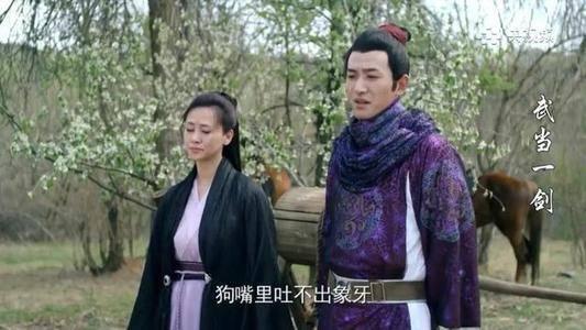 武当一剑第17集分集剧情介绍